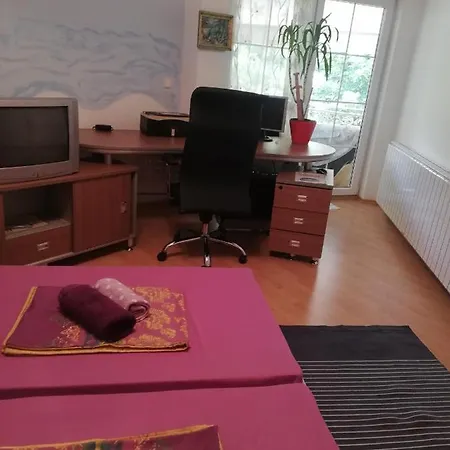 招待所 Edina 维索科